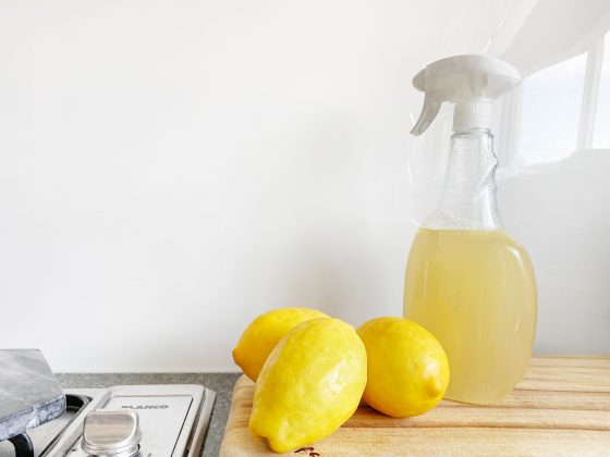 DIY Citrus Spray for Insects