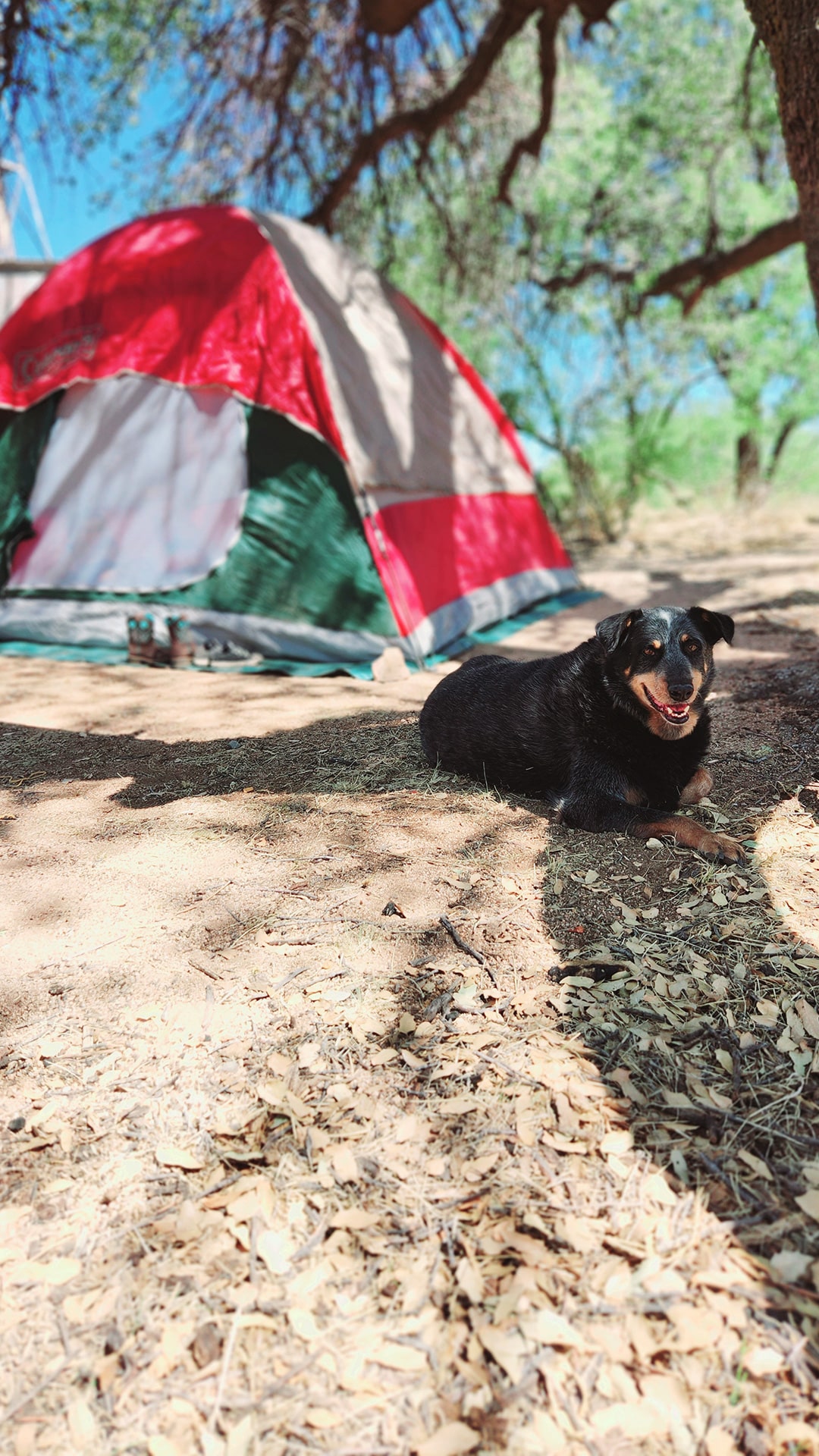 Minimalistic Camping 101