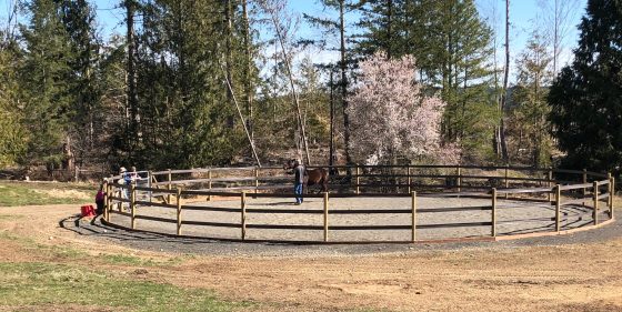 Flex Fence Round Pen