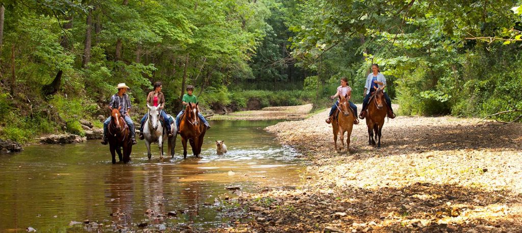horse places in the united states