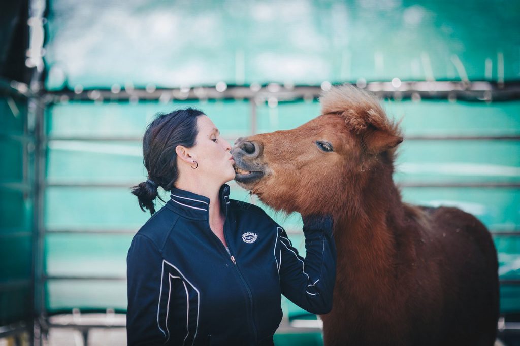 Miniature Horse