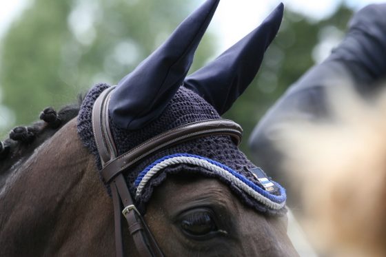 ottb