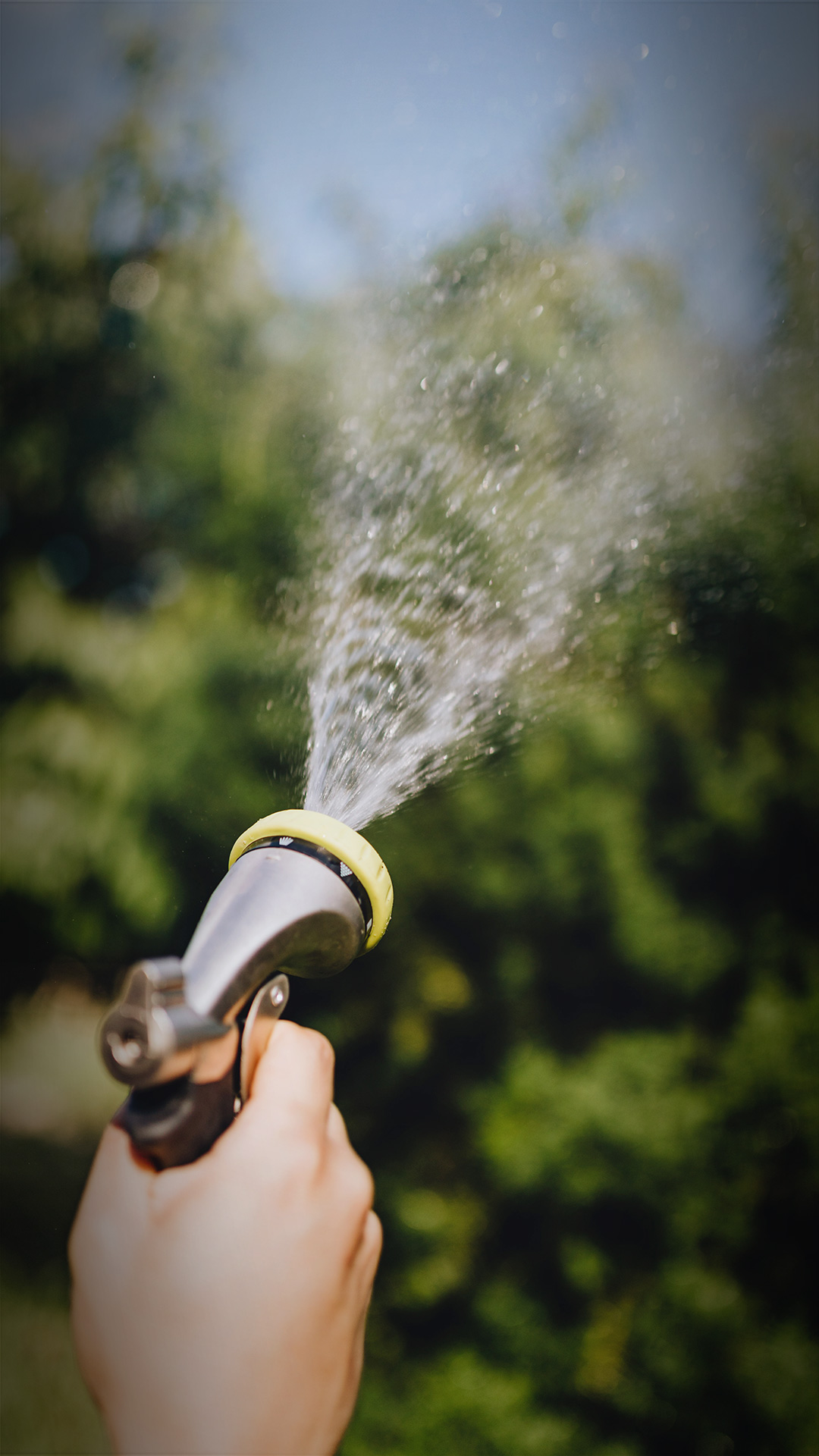 Summer Activities Your Horse Will Enjoy