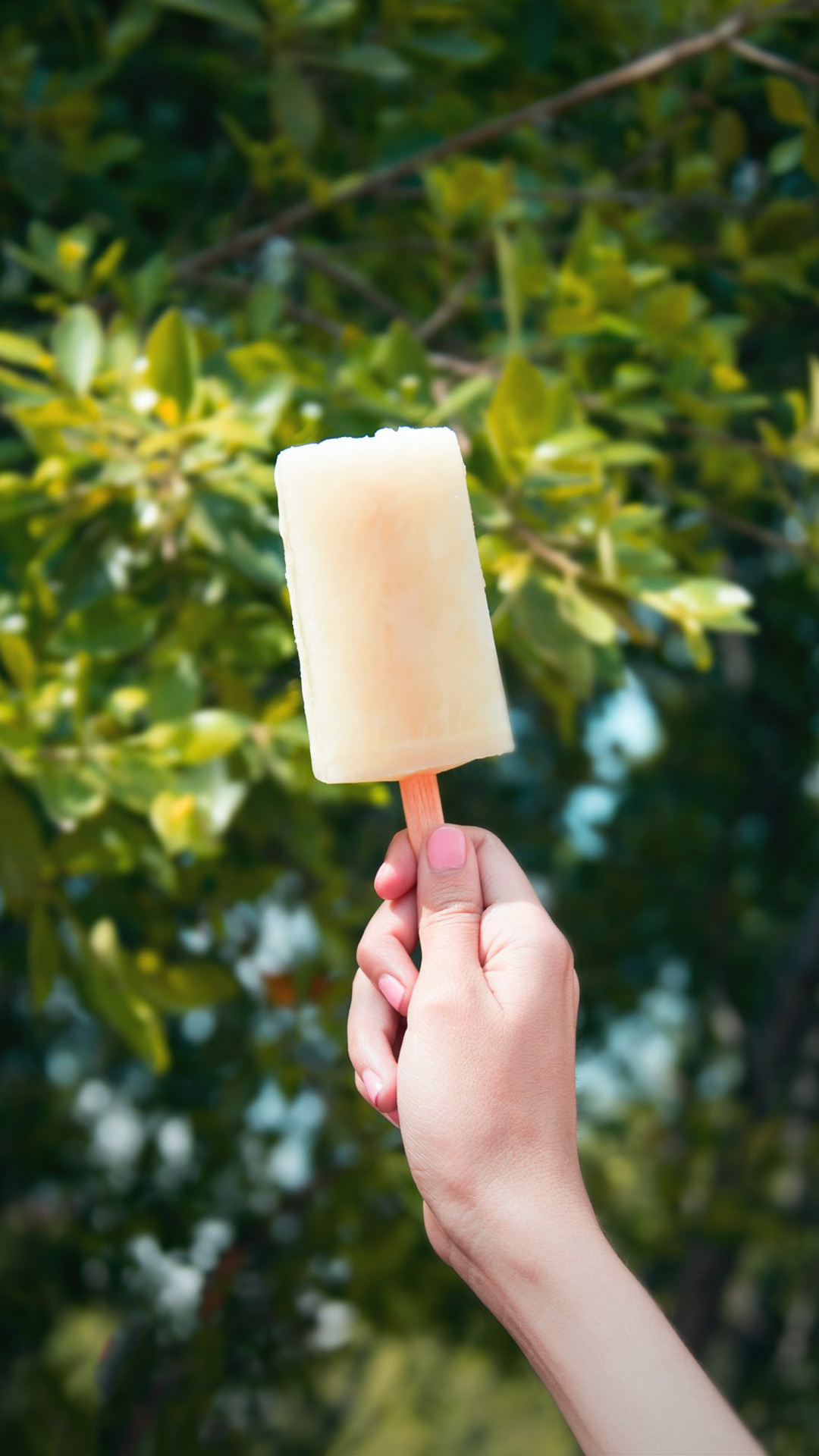 Cool Summer Treats for Your Horse