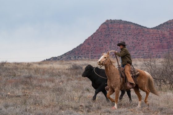 Man riding horse