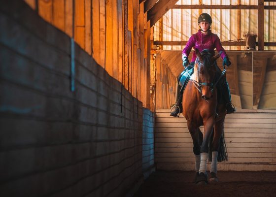 Rider on horse.