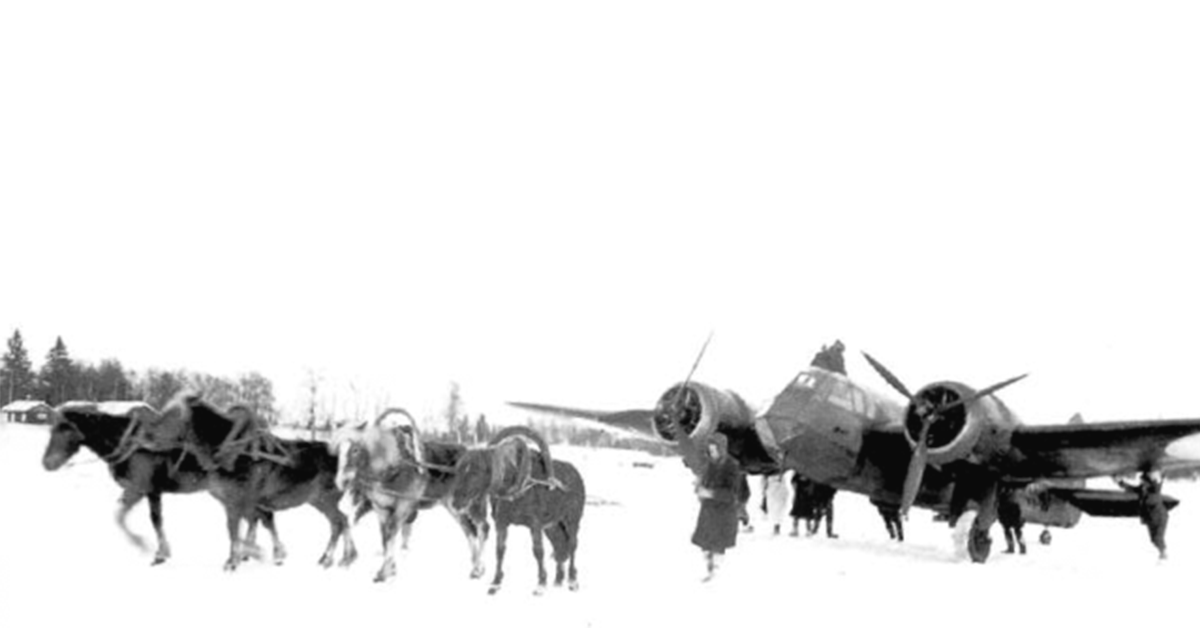 Horses on the Battlefield Alongside Brave Soldiers