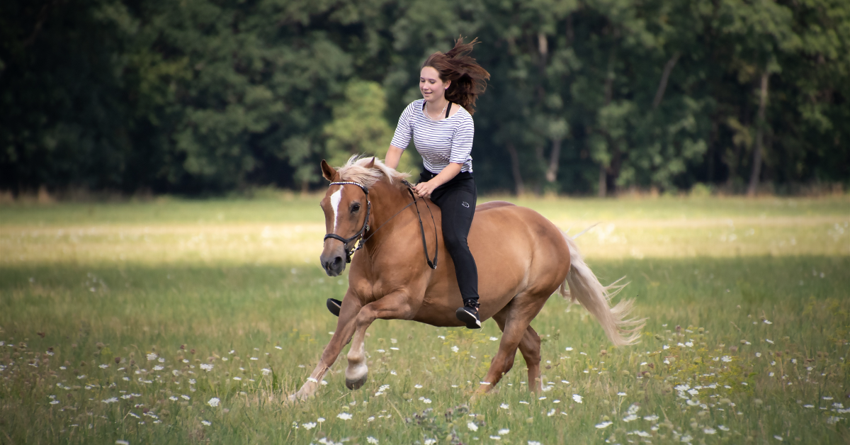 Bareback RidingThe Pros & Cons of Bareback Riding