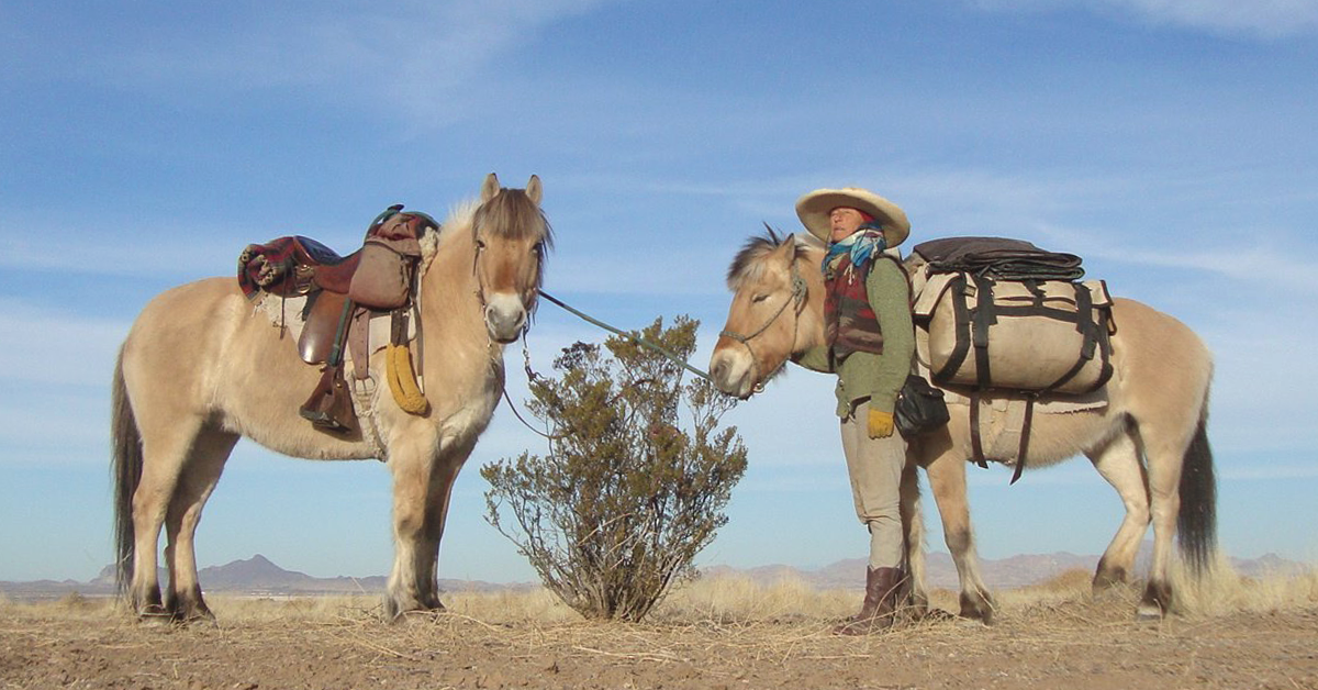 Four Amazing Memoirs for Horse Lovers - Bernice Ende