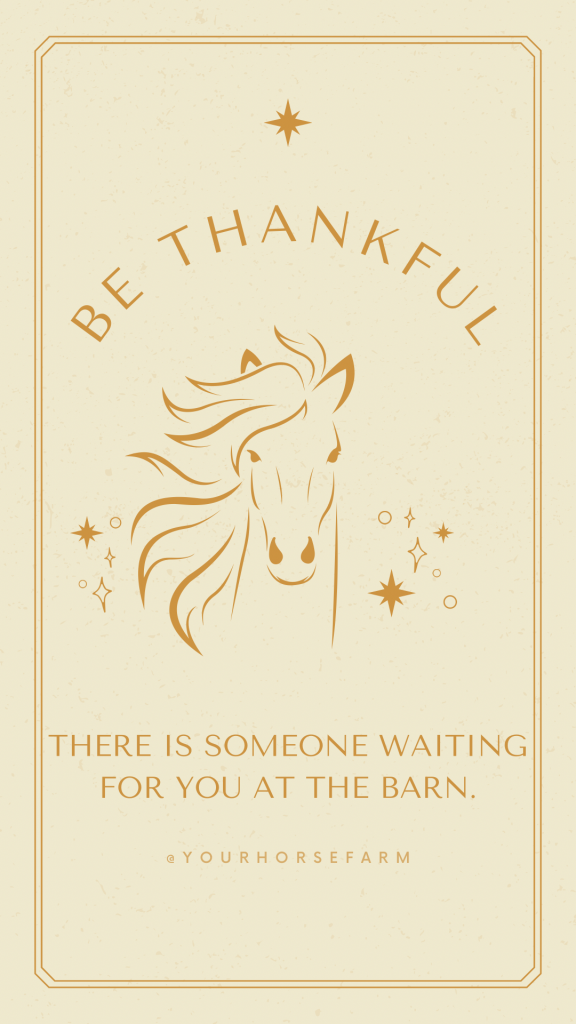 Horse Wallpaper #1
