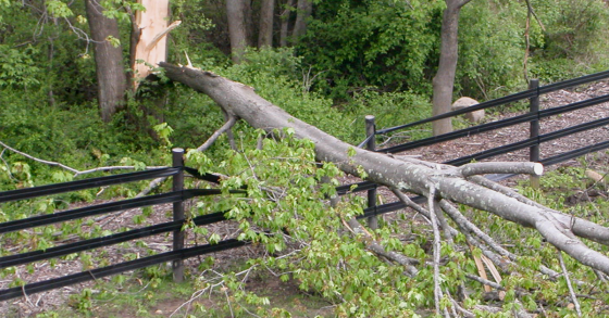 Prepping Your Horse Farm for the Unexpected