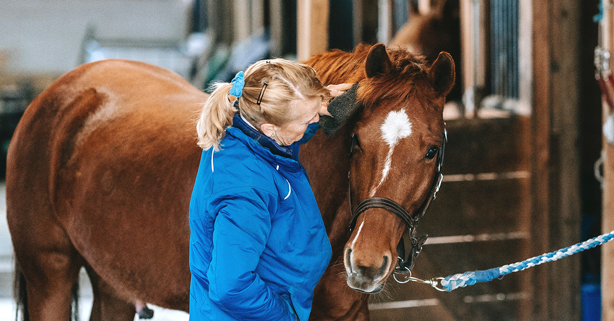 Horse's Vital Signs