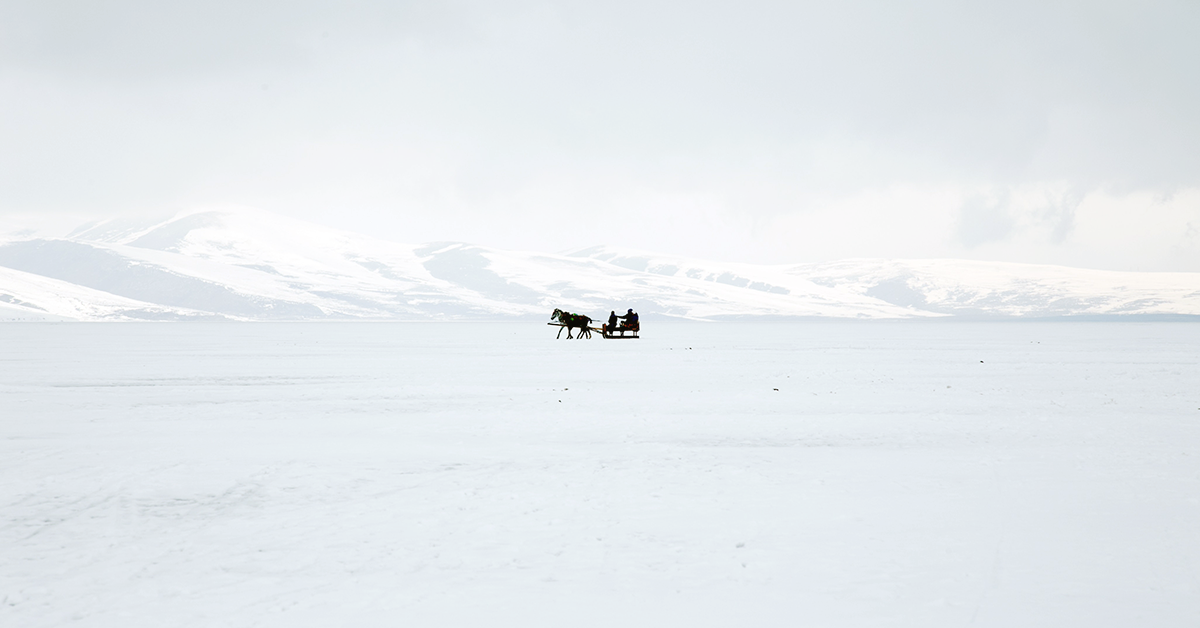 Winter Activities