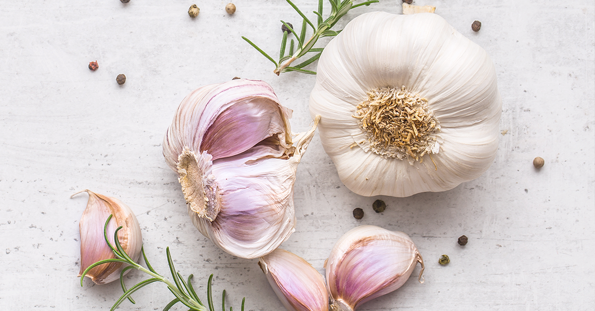 Garlic