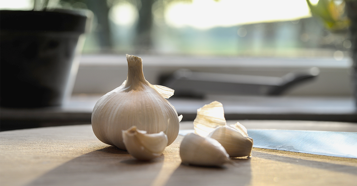 Garlic