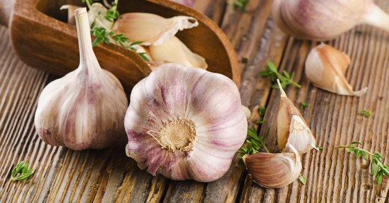 Garlic