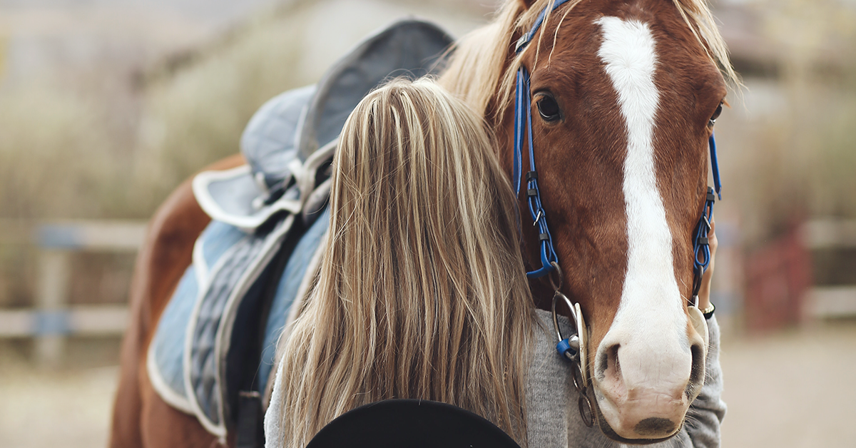 How to Give Your Horse a Massage