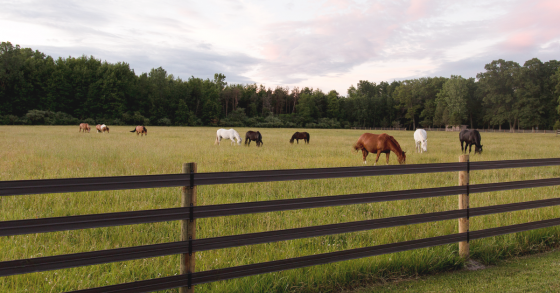 RAMM Flex Fence®