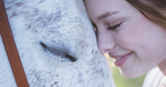 Valentine’s Day Horse Treats