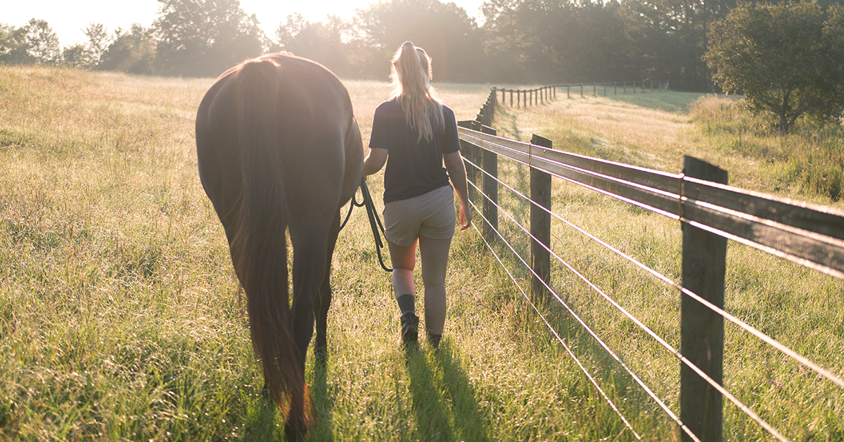Summer Horse Jobs for Teens (or Adults!)